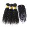 Natural Malaysian Virgin Hair Extensions / Malaysian Curly Hair With Silk Base Closure supplier