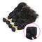 4 Bundles Of Malaysian Virgin Hair Extensions Clean Weft Natural Appearance supplier