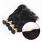 Colored Real 8A Malaysian Natural Wave Hair Bundles Without Chemical Processed supplier