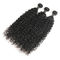 Genuine 9A Water Wave Crochet Hair , 100 Remy Water Wave Weave No Tangle supplier