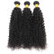 100 Unprocessed Virgin Curly Hair Bundles Natural Hair Line No Shedding supplier