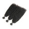 Natural Black Virgin Curly Hair Bundles / Curly Weave Human Hair 3 Bundles supplier
