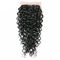 Transparent Virgin Human Hair Lace Front Wigs Without Chemical Processed supplier