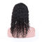 Double Weft Virgin Hair Lace Wigs , Shop Human Hair Wigs Customized Length supplier