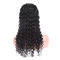 Clean Weft Virgin Hair Lace Wigs / Short Full Lace Wigs Human Hair Deep Curly supplier