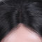 Pure Virgin Hair Lace Wigs / Lace Front Wigs For Black Women Silk Straight supplier