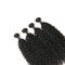 Unprocessed Smooth Water Wave Crochet Hair Clean Weft No Synthetic Hair supplier