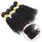 Soft Smooth Malaysian Virgin Hair Extensions , Virgin Malaysian Curly Hair Weave supplier