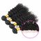 8A Virgin Malaysian Remy Deep Curly Human Hair Weave No Synthetic Hair supplier