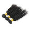 Double Weft Brazilian Water Wave Hair Extensions 3 Bundles No Shedding supplier