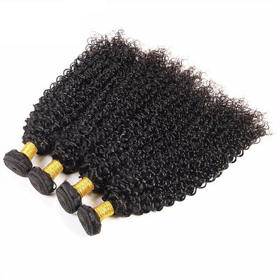 8A Healthy Virgin Curly Hair Bundles , Kinky Curly Human Hair Extensions supplier