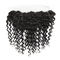 Transparent Human Hair Lace Closure Deep Wave , Full Weave With Lace Closure supplier