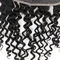 Healthy Human Hair Lace Closures With Baby Hair Without Chemical Processed supplier