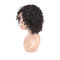 Healthy Custom Virgin Hair Lace Wigs / 100 Percent Human Hair Wigs No Tangling supplier