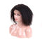 Short Straight Virgin Hair Lace Wigs No Shedding Without Chemical Processed supplier