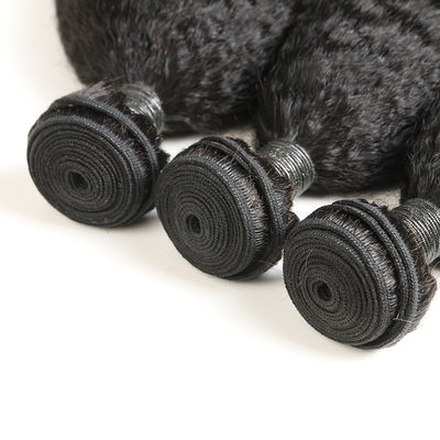 12 Inch Remy Malaysian Curly Hair Bundles With Closure Strict Quality Control supplier