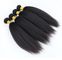 Soft Kinky Straight Virgin Curly Hair Extensions 4 Bundles Customized Length supplier