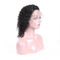 Healthy African American Full Lace Human Hair Wigs Deep Curly No Shedding supplier