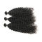 Authentic Long Raw Brazilian Water Wave Hair Extensions Fashionable Color supplier